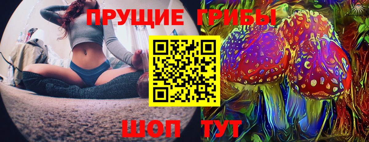 Галлюциногенные грибы Magic Shrooms  Вход с VPN  Псилоцибиновые грибы MAGIC MUSHROOMS  Бердск 